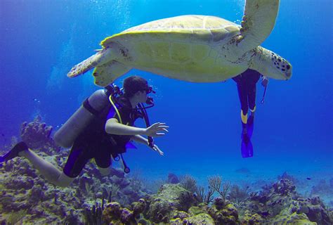 jacques cousteau fun facts.